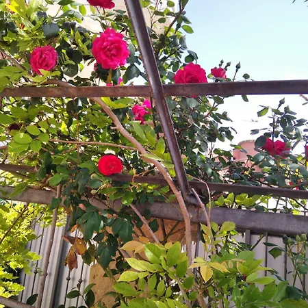 Rochouse La Rotonda Апарт-отель *